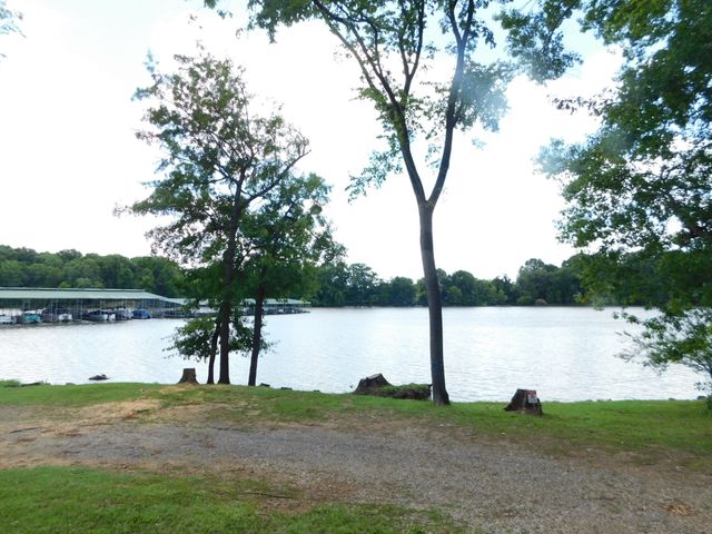 319 Harsh Ln, Castalian Springs, TN 37031
