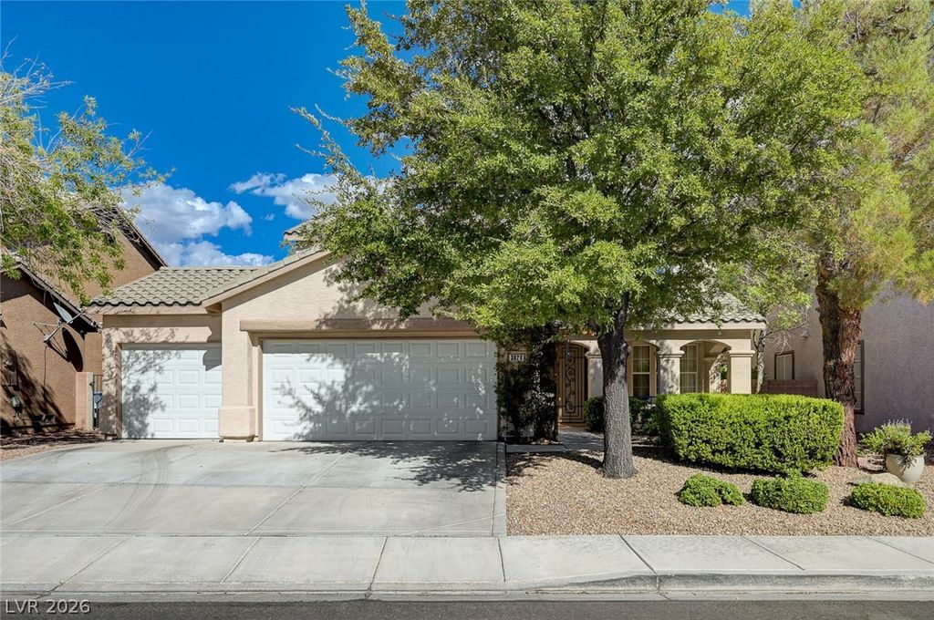 3028 Carbondale Street, Las Vegas, NV 89135 — exterior