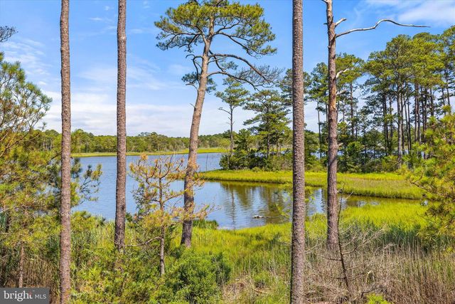 10528 WAR DANCER LN, Berlin, MD 21811