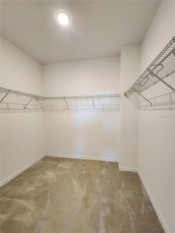 10360 AUSTRINA OAK LOOP, Winter Garden, FL 34787