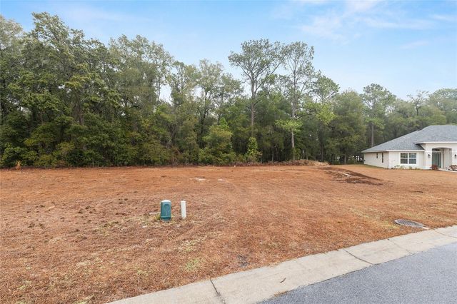 TBD NE 58TH CIRCLE, Silver Springs, FL 34488