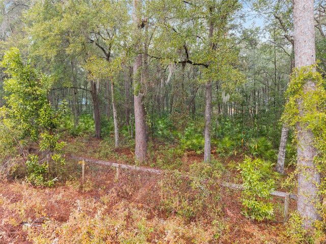 TBD NE 58TH CIRCLE, Silver Springs, FL 34488