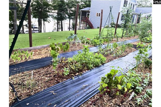 1317 Shore Road, Gilbert, SC 29054