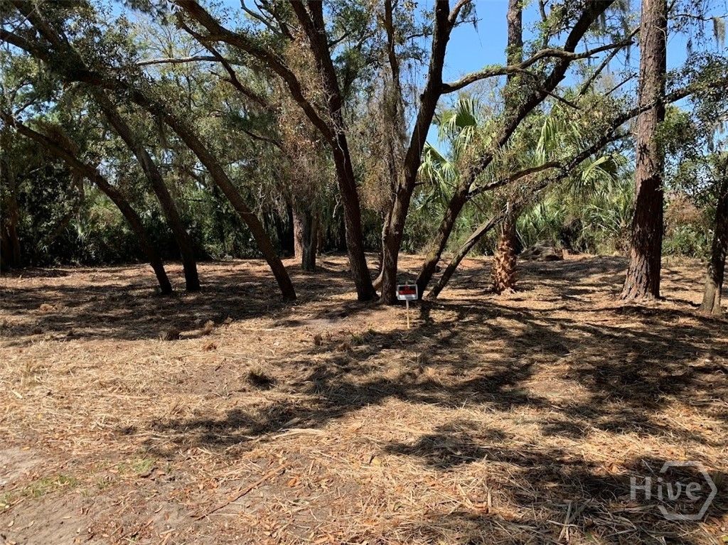 Image 1 of property listing at 0 McKenzie Avenue, Tybee Island, GA 31328