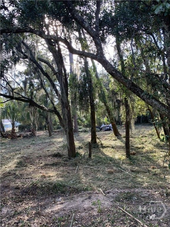 Image 3 of property listing at 0 McKenzie Avenue, Tybee Island, GA 31328