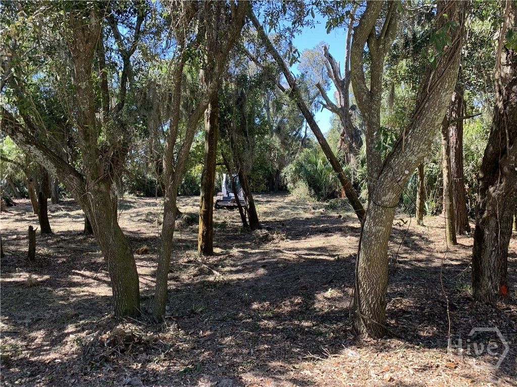 Image 4 of property listing at 0 McKenzie Avenue, Tybee Island, GA 31328