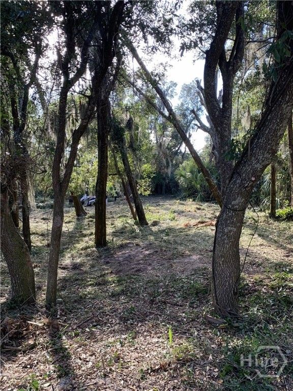 Image 6 of property listing at 0 McKenzie Avenue, Tybee Island, GA 31328