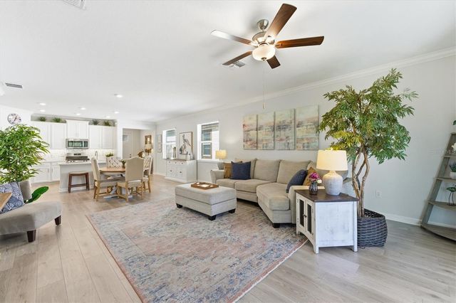 5209 WINDY GROVE DRIVE, Wimauma, FL 33598