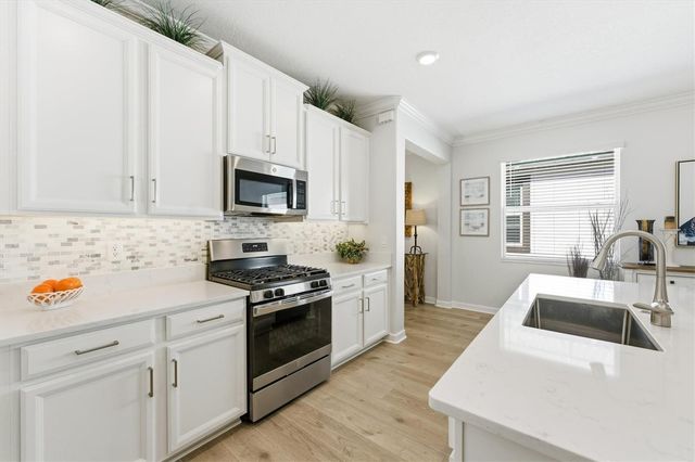 5209 WINDY GROVE DRIVE, Wimauma, FL 33598