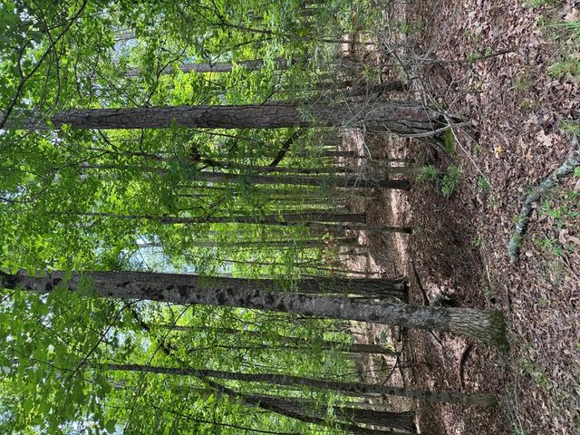 Lot 159 Ph1Sec2 Piedmont Lake Road, Pine Mountain, GA 31822