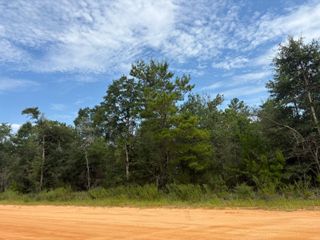 Lots XXX W Royal Palm Avenue, Defuniak Springs, FL 32433