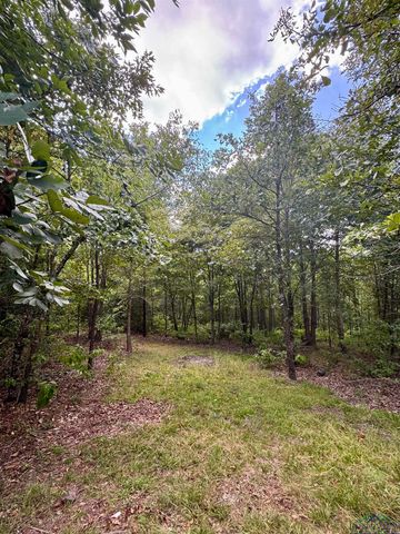 3862 County Road 2993, Hughes Springs, TX 75656