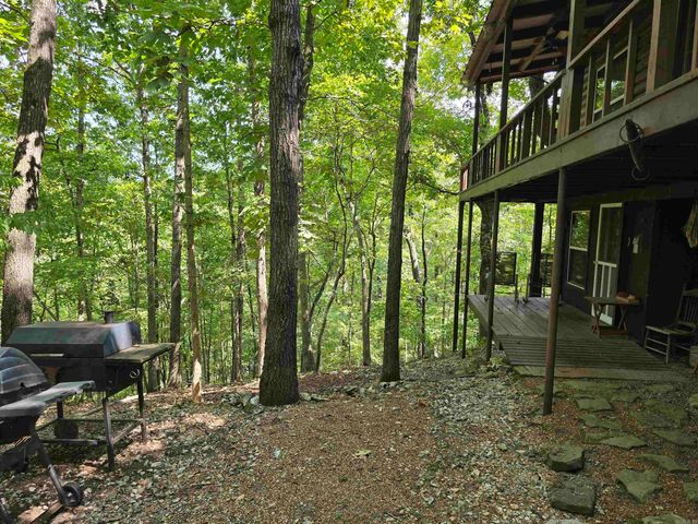 2732 Mitchell Road, Mountain View, AR 72560