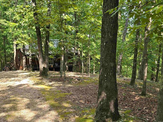 2732 Mitchell Road, Mountain View, AR 72560