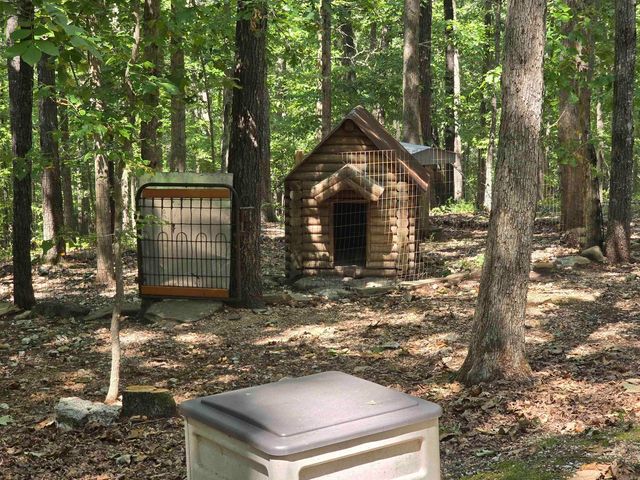 2732 Mitchell Road, Mountain View, AR 72560