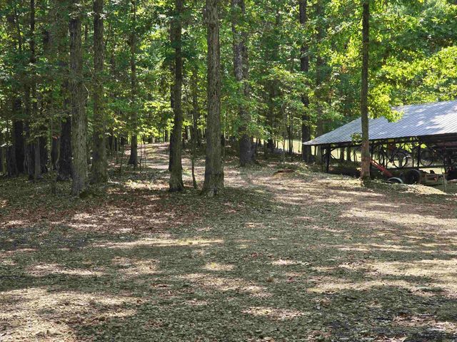 2732 Mitchell Road, Mountain View, AR 72560