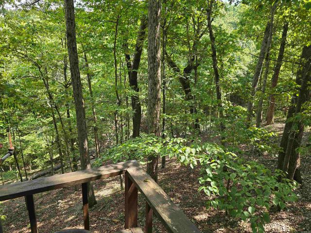 2732 Mitchell Road, Mountain View, AR 72560