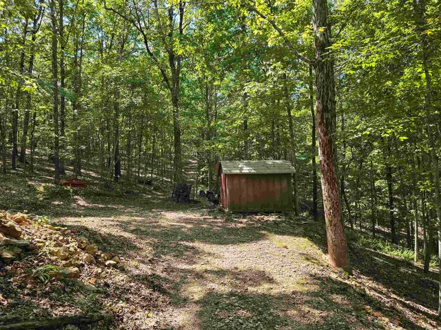 2732 Mitchell Road, Mountain View, AR 72560