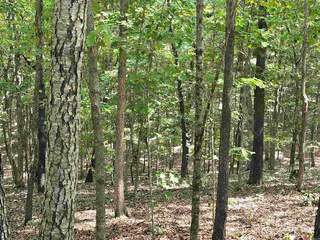 2732 Mitchell Road, Mountain View, AR 72560