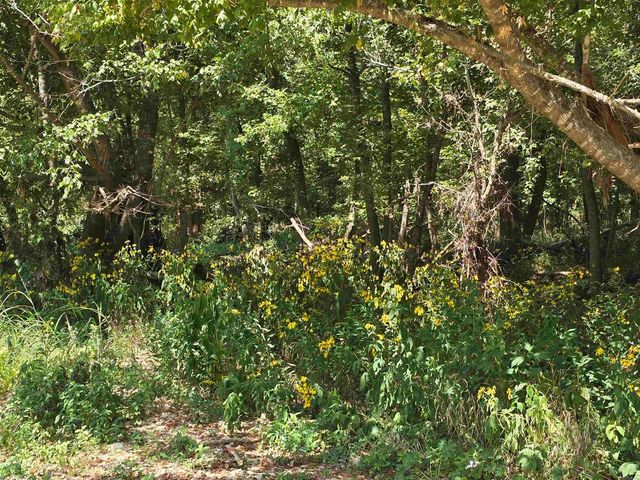 2732 Mitchell Road, Mountain View, AR 72560