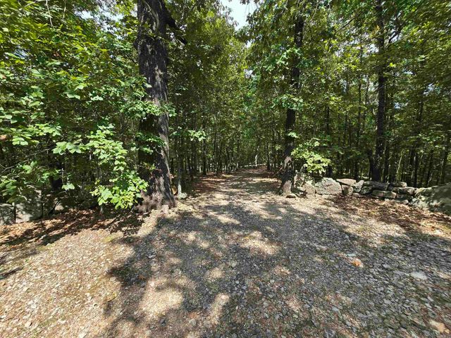 2732 Mitchell Road, Mountain View, AR 72560