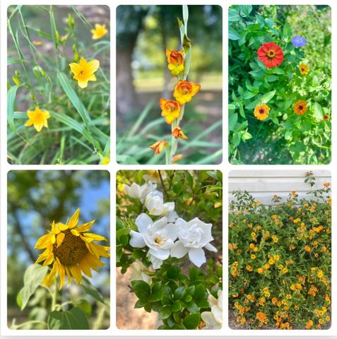 449 County Road 112, Columbia, AL 36319