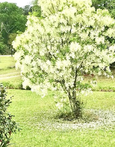 449 County Road 112, Columbia, AL 36319