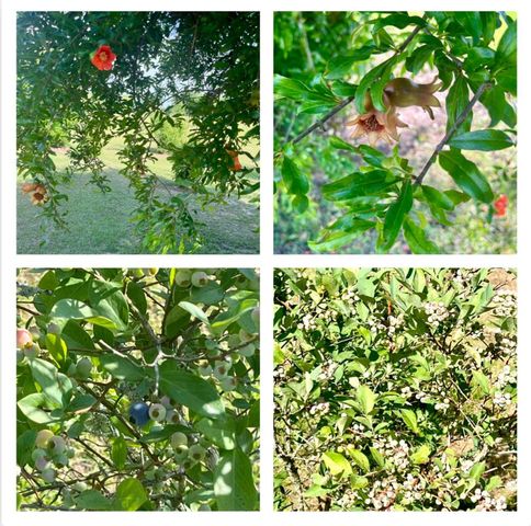 449 County Road 112, Columbia, AL 36319