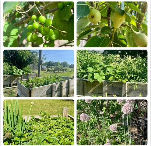 449 County Road 112, Columbia, AL 36319