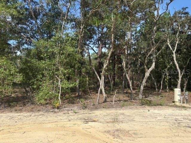 8454 SW 138TH TERRACE, Dunnellon, FL 34432