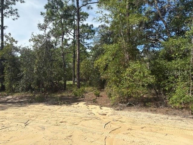 8454 SW 138TH TERRACE, Dunnellon, FL 34432