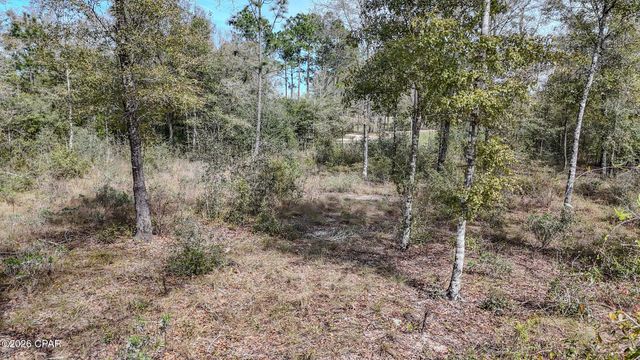 0 Westbrook Drive, Chipley, FL 32428