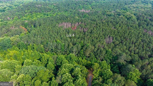 LOT 4 136 Highway 136 Connector, Talking Rock, GA 30175