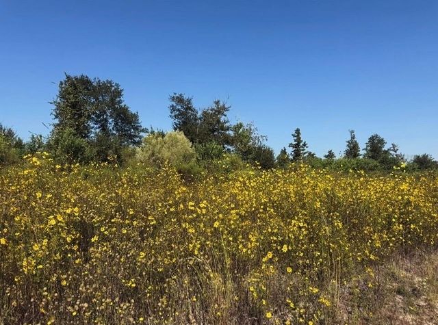 5312 Road 5914-08 Radial, Cleveland, TX 77327