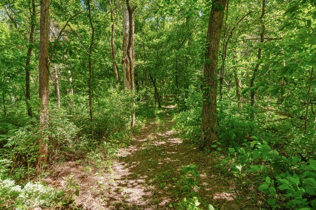 642 Beach Bottom Rd, Watertown, TN 37184