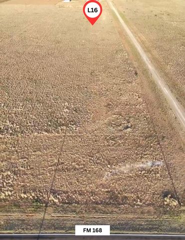 6431 Rockin T Rd, Ropesville, TX 79358