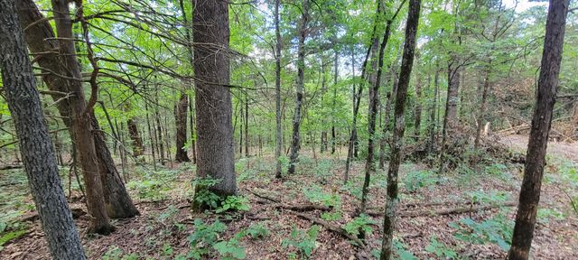 0 Wispy Trail, Shell Knob, MO 65747