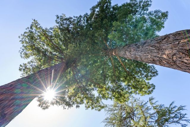 3498 Soquel San Jose Road, Soquel, CA 95073