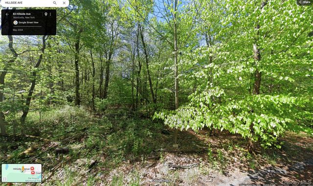83 Hillside Avenue, Monticello, NY 12701