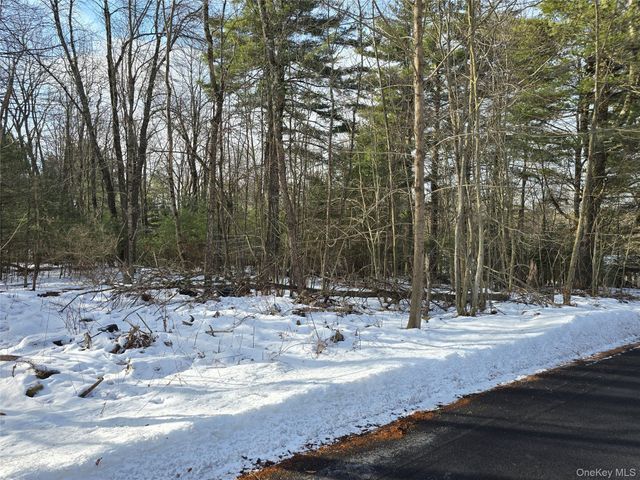 83 Hillside Avenue, Monticello, NY 12701