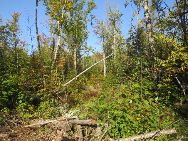 1796 Sigma Road SE, Kalkaska, MI 49646