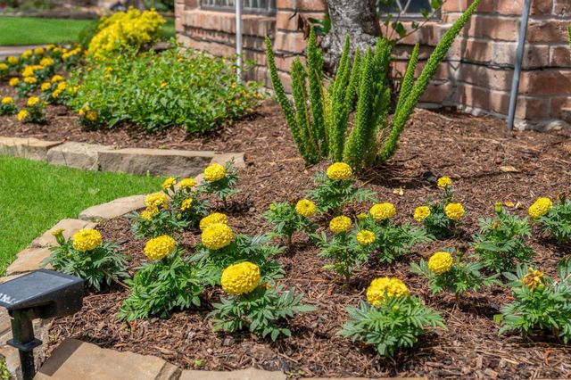 5614 Spanish Oak Drive, Houston, TX 77066