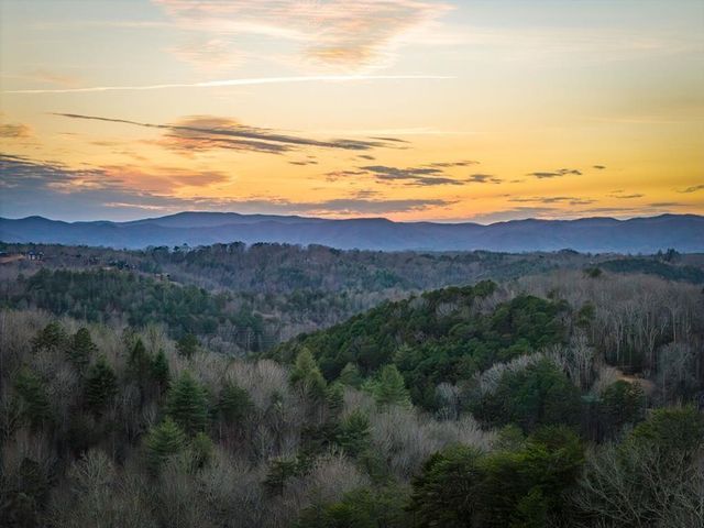 196 S Williamstown Ridge, Mineral Bluff, GA 30559