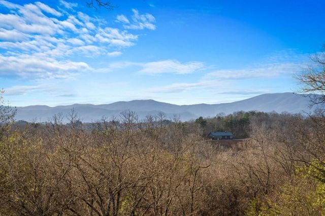 196 S Williamstown Ridge, Mineral Bluff, GA 30559