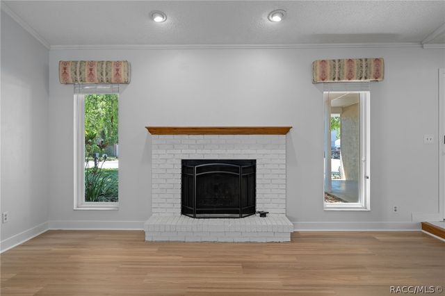 5519 Fulmar Drive, Tampa, FL 33625