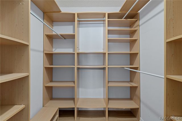 5519 Fulmar Drive, Tampa, FL 33625