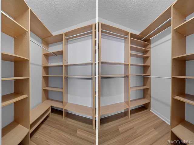 5519 Fulmar Drive, Tampa, FL 33625