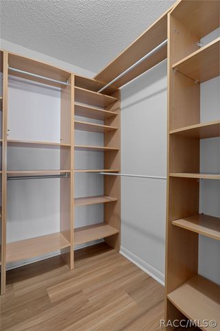 5519 Fulmar Drive, Tampa, FL 33625