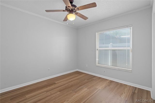 5519 Fulmar Drive, Tampa, FL 33625