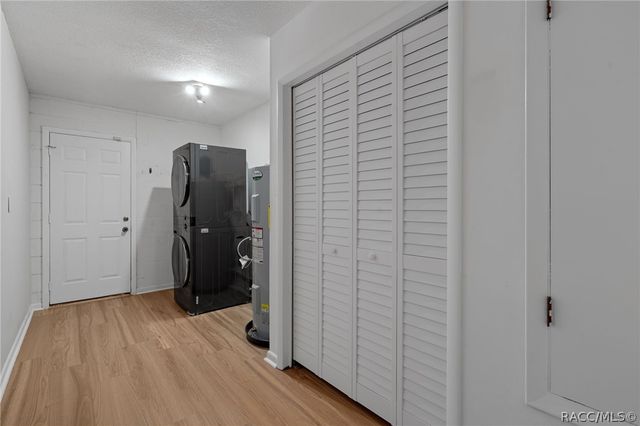 5519 Fulmar Drive, Tampa, FL 33625